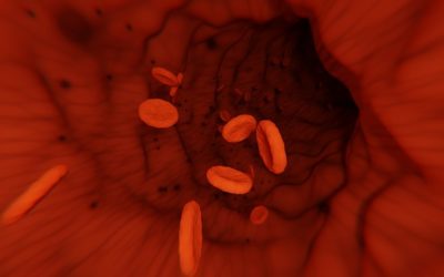 Hirnvenenthrombosen nach COVID-19-Impfung – Ursache identifiziert