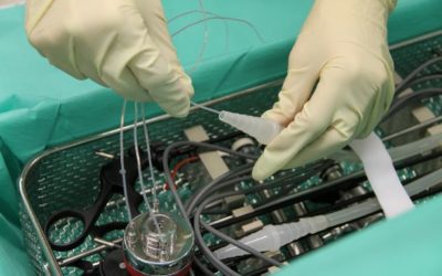 Zeit sparen, Sicherheit gewinnen mit dem Validierungsservice