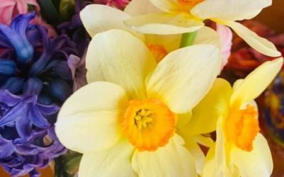 Herzliche Ostergrüße